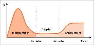 Spending patterns during CMS implementation