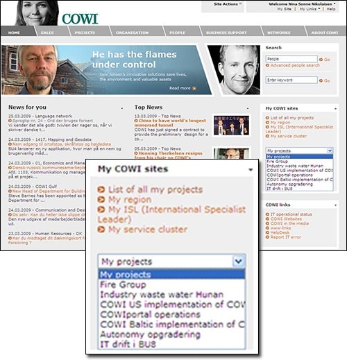 CMB_CollabAccess Screenshot courtesy of COWI A/S