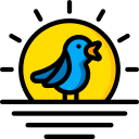 early-bird